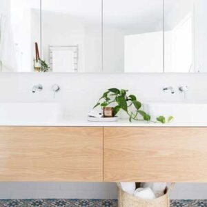 An Expert's Top Choices for Bathroom Houseplants Image